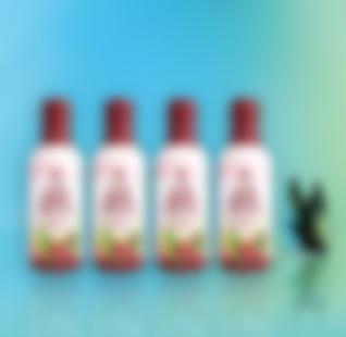 Nectar 4Pack